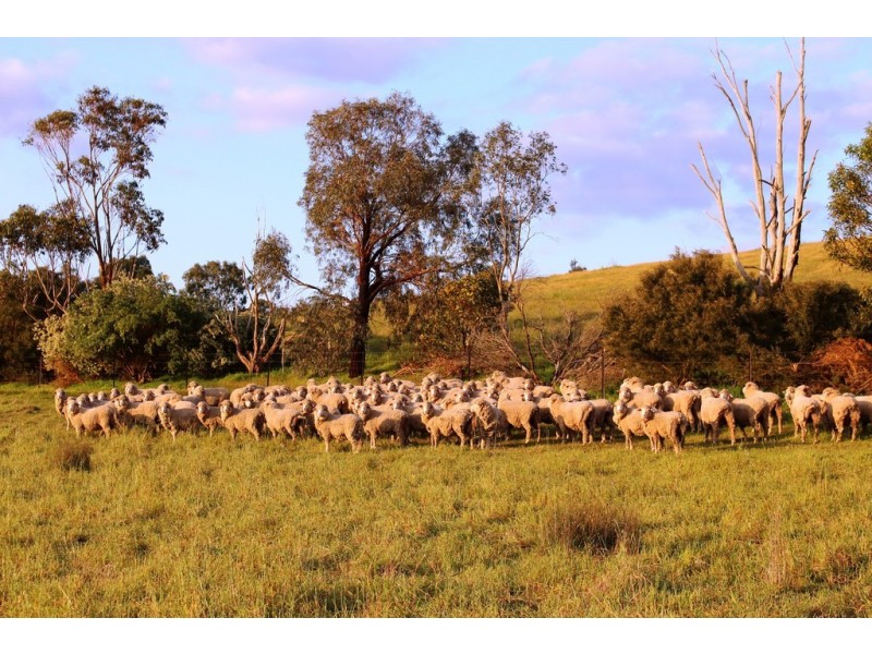 140 Mine Flat Road, Strathalbyn SA 5255