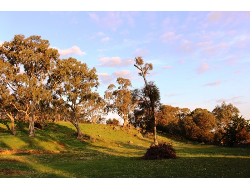 140 Mine Flat Road, Strathalbyn SA 5255