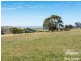 380 E Wattle Flat Road, Sandergrove SA 5255