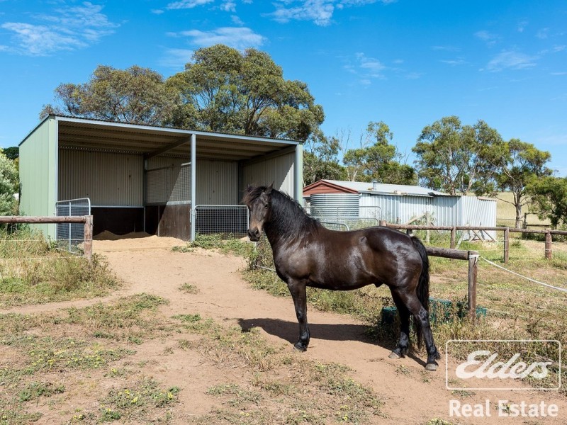 380 E Wattle Flat Road, Sandergrove SA 5255