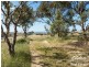 380 E Wattle Flat Road, Sandergrove SA 5255
