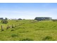 178 Tunk Head Road, Parawa SA 5203
