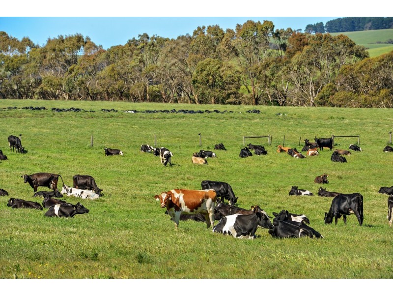 178 Tunk Head Road, Parawa SA 5203