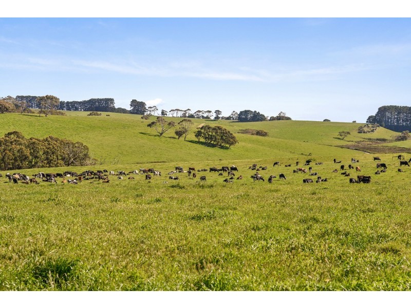 178 Tunk Head Road, Parawa SA 5203