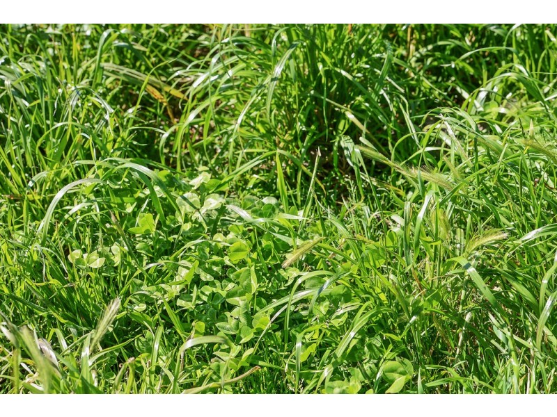 178 Tunk Head Road, Parawa SA 5203