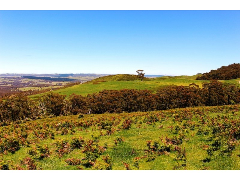 A22 Strangways Road, Inman Valley SA 5211