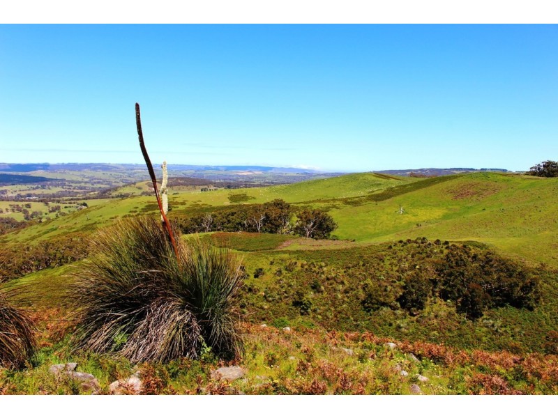 A24 Strangways Road, Inman Valley SA 5211