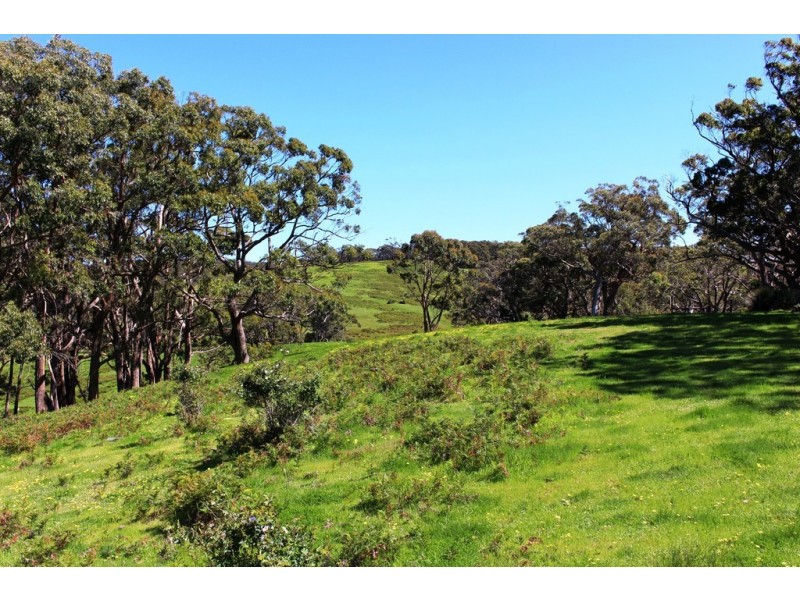 A24 Strangways Road, Inman Valley SA 5211