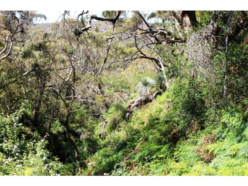 A24 Strangways Road, Inman Valley SA 5211