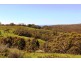 A24 Strangways Road, Inman Valley SA 5211