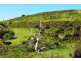 A24 Strangways Road, Inman Valley SA 5211