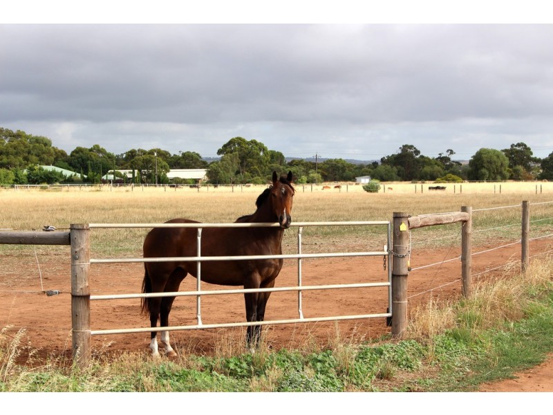 A10 Lines Road, Strathalbyn SA 5255