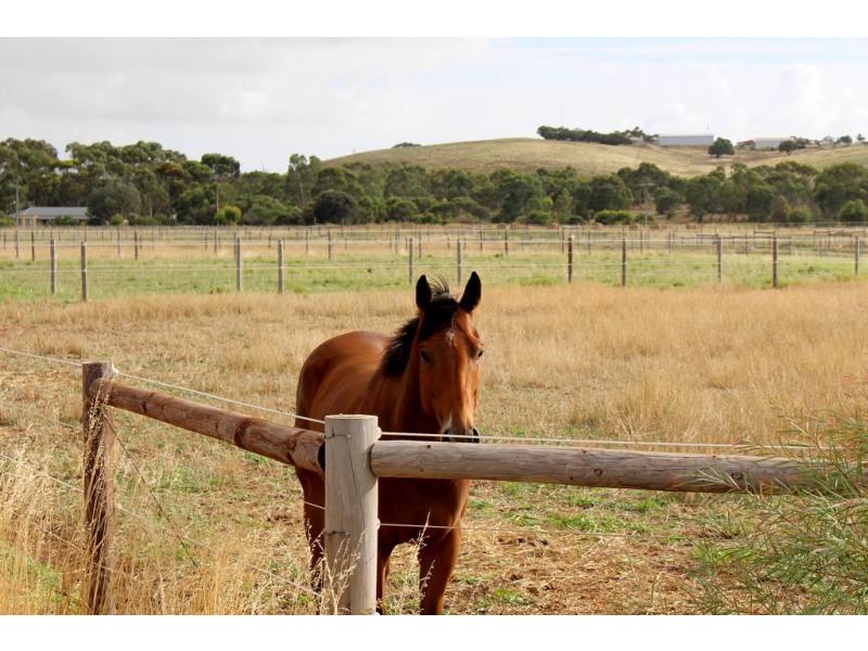 A10 Lines Road, Strathalbyn SA 5255