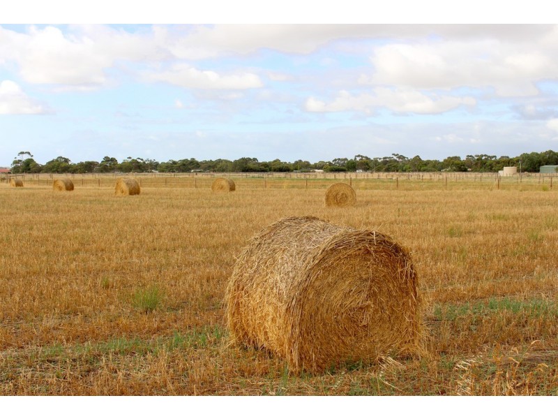 A10 Lines Road, Strathalbyn SA 5255