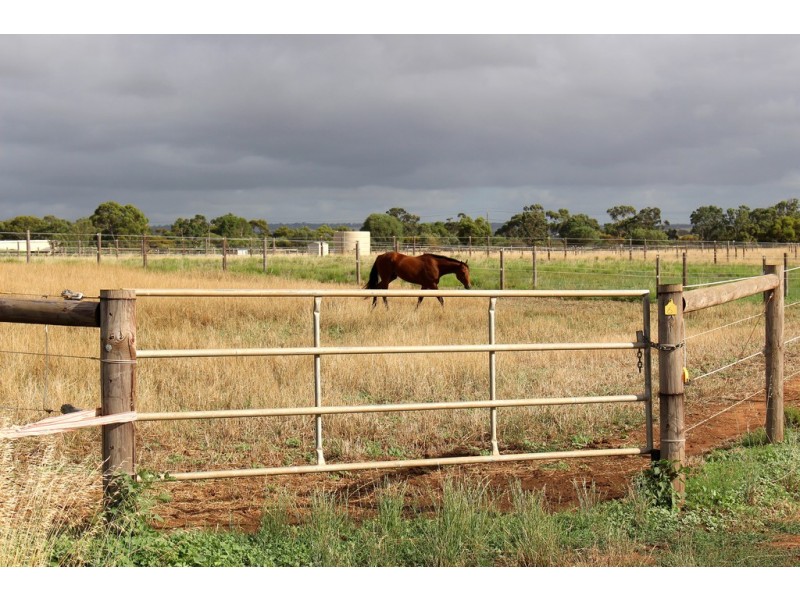 A10 Lines Road, Strathalbyn SA 5255