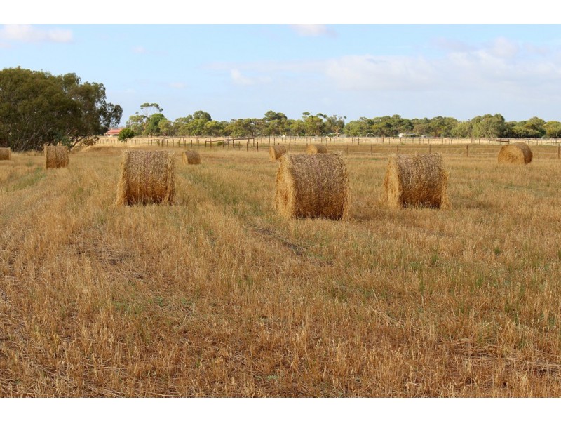 A10 Lines Road, Strathalbyn SA 5255