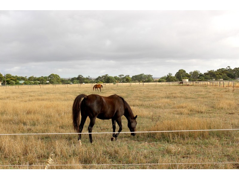 A10 Lines Road, Strathalbyn SA 5255