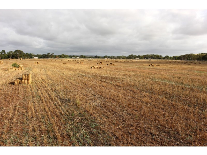 A10 Lines Road, Strathalbyn SA 5255