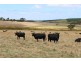 738 Range Road, Parawa SA 5203