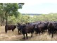 738 Range Road, Parawa SA 5203