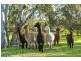 119 Lucas Road, Mount Pleasant SA 5235