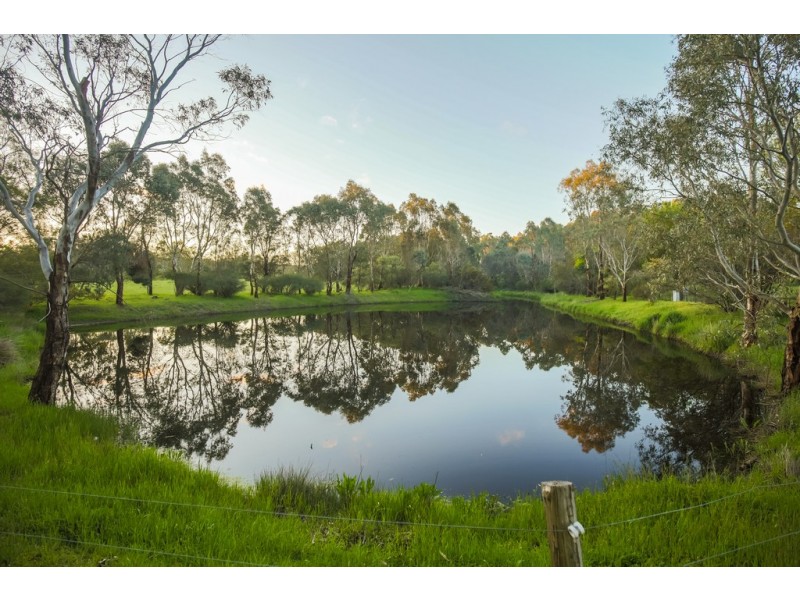 119 Lucas Road, Mount Pleasant SA 5235