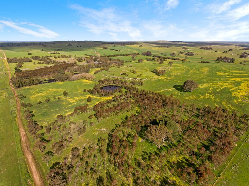 119 Lucas Road, Mount Pleasant SA 5235