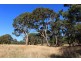 516 Burford’s Hill Road, Mount Torrens SA 5244