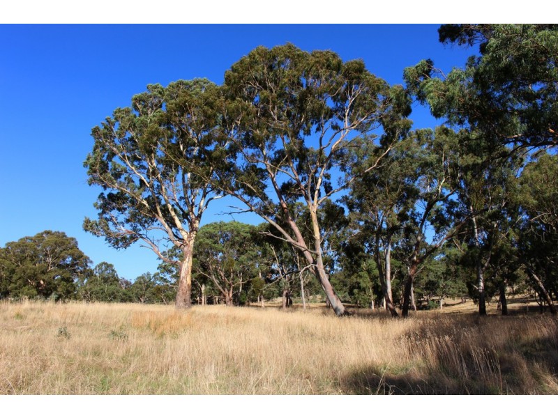 516 Burford’s Hill Road, Mount Torrens SA 5244