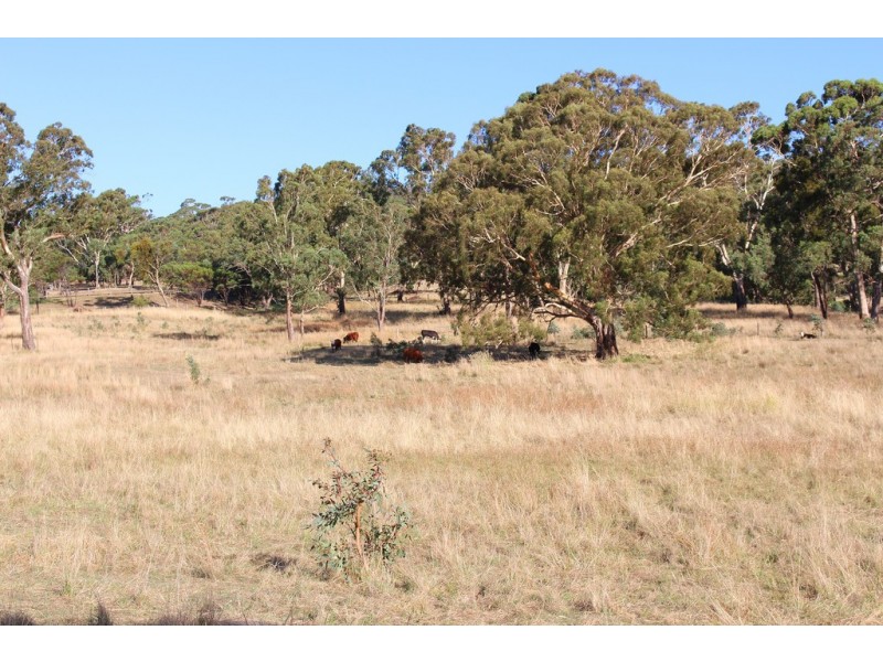 516 Burford’s Hill Road, Mount Torrens SA 5244