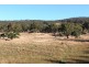516 Burford’s Hill Road, Mount Torrens SA 5244