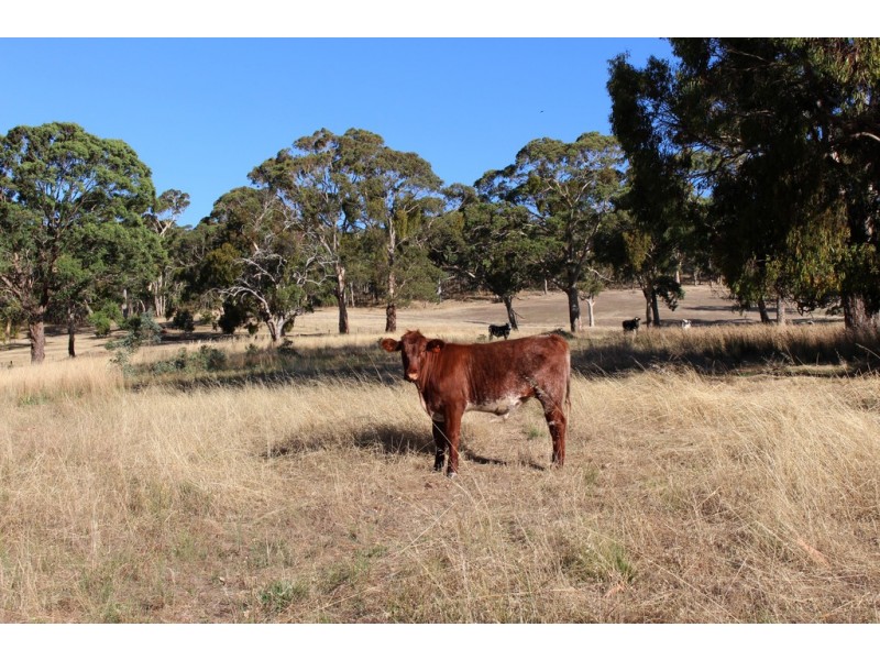 516 Burford’s Hill Road, Mount Torrens SA 5244
