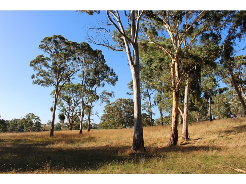 516 Burford’s Hill Road, Mount Torrens SA 5244