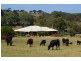 193 Paris Creek Road, Paris Creek SA 5201