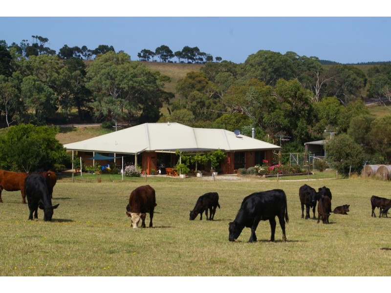 193 Paris Creek Road, Paris Creek SA 5201