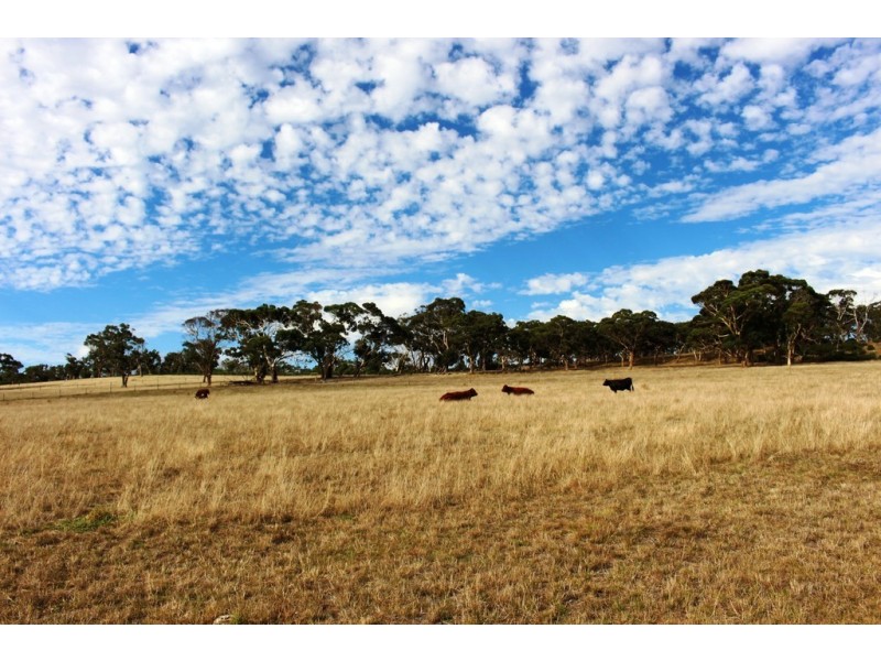 193 Paris Creek Road, Paris Creek SA 5201