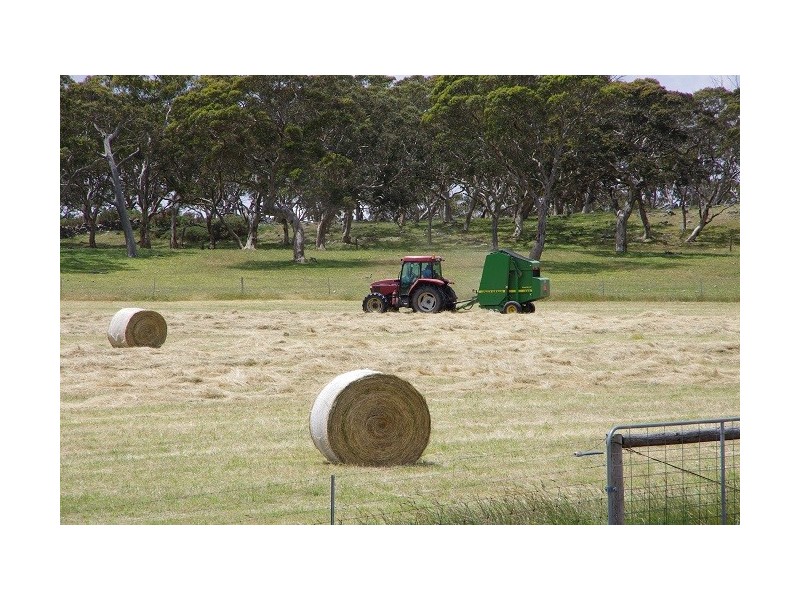 193 Paris Creek Road, Paris Creek SA 5201