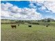 193 Paris Creek Road, Paris Creek SA 5201