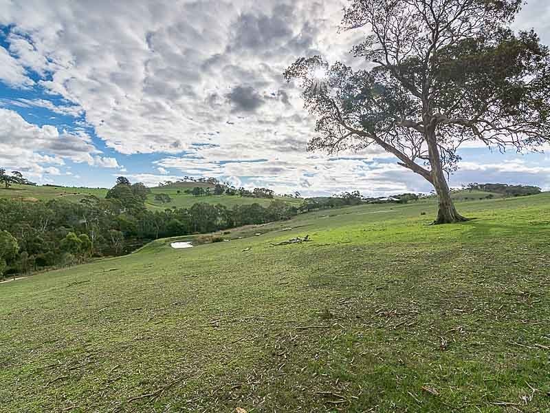 193 Paris Creek Road, Paris Creek SA 5201