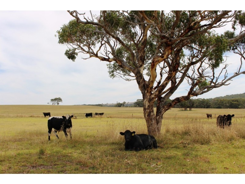 A103 Tugwell Road, Waitpinga SA 5211