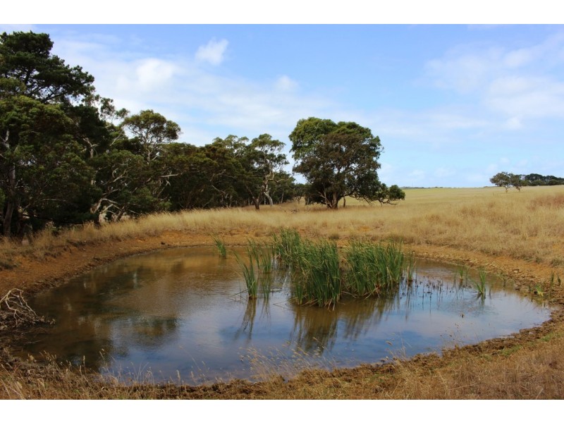 A103 Tugwell Road, Waitpinga SA 5211