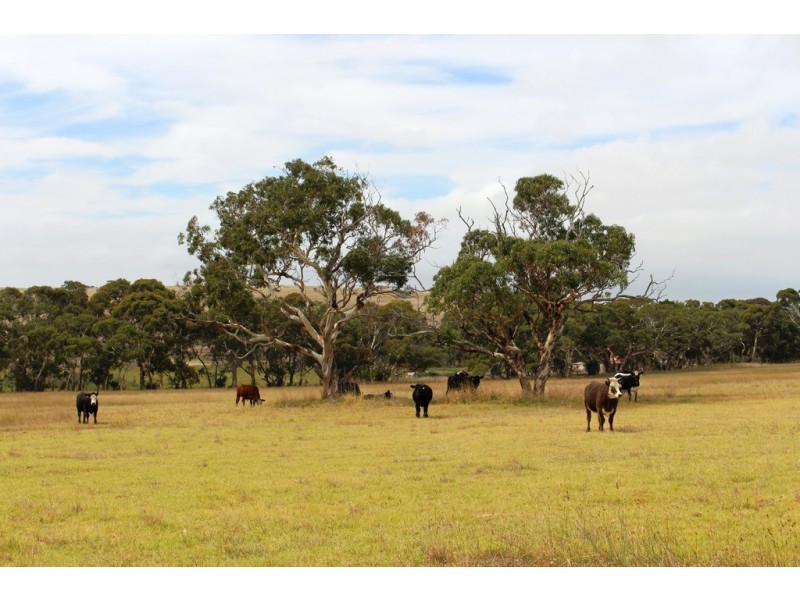 A103 Tugwell Road, Waitpinga SA 5211
