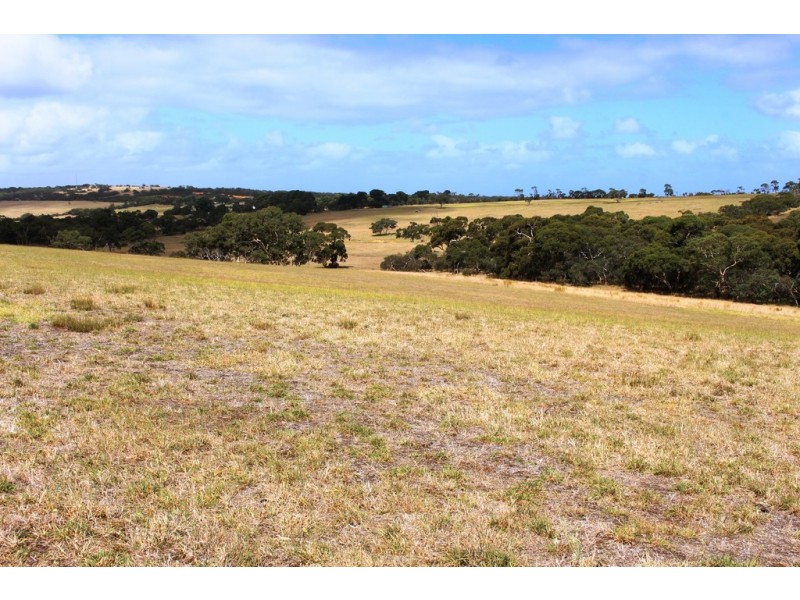 A103 Tugwell Road, Waitpinga SA 5211
