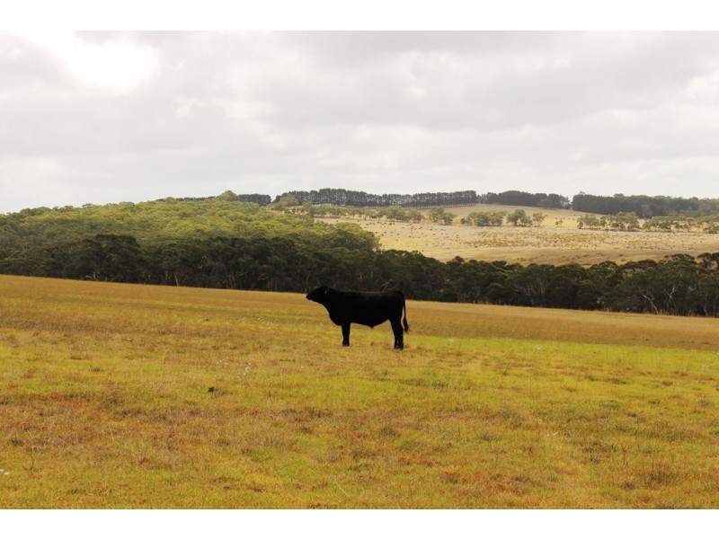 A103 Tugwell Road, Waitpinga SA 5211