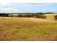 A103 Tugwell Road, Waitpinga SA 5211