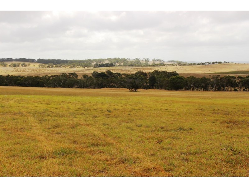 A103 Tugwell Road, Waitpinga SA 5211