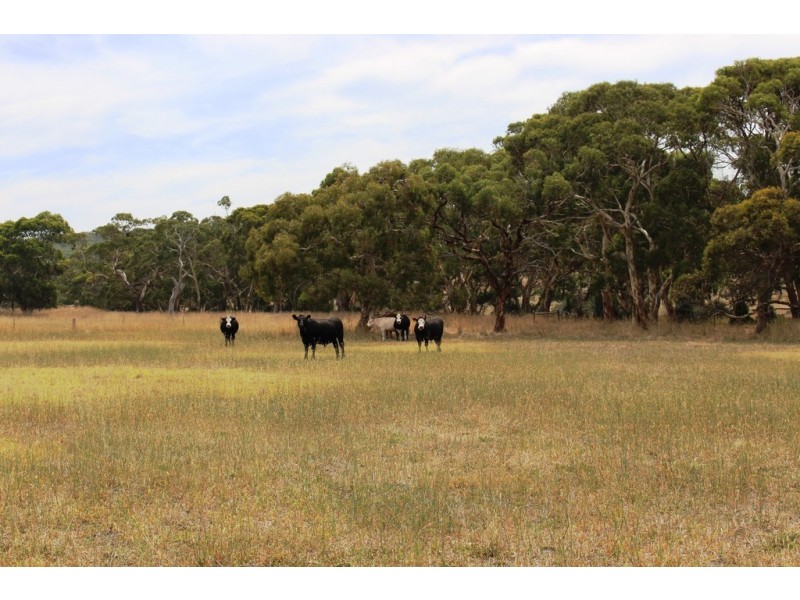 A103 Tugwell Road, Waitpinga SA 5211