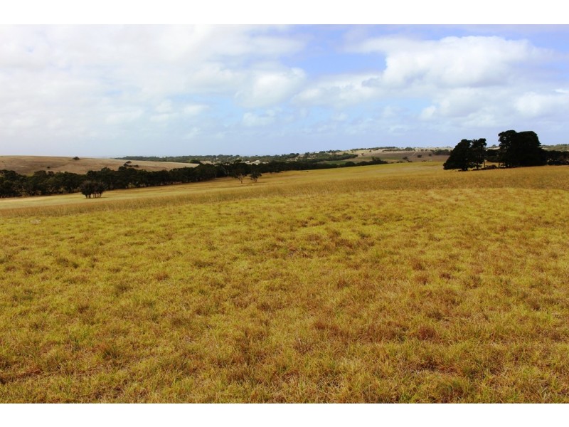 A103 Tugwell Road, Waitpinga SA 5211