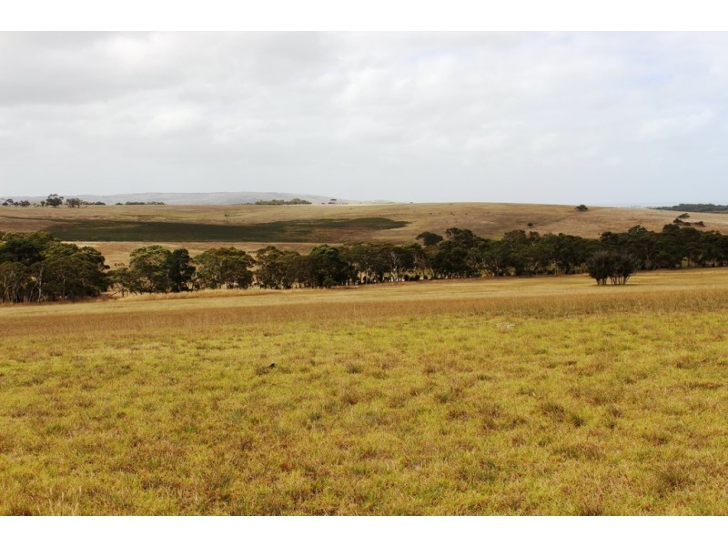 A103 Tugwell Road, Waitpinga SA 5211