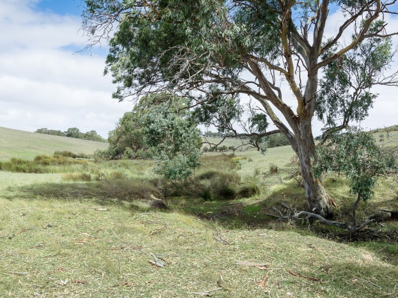 583 (Lot 9) Ashbourne Road, Strathalbyn SA 5255